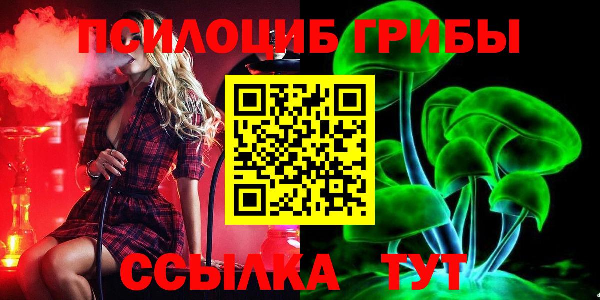 Верхняя Пышма  Псилоцибиновые грибы ЛСД  Вход с VPN 